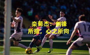  栾菊杰：剑锋所指，心之所向